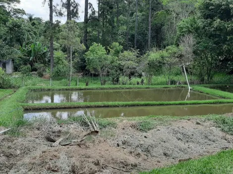 imagem 4 - CHÁCARA À VENDA - BAIRRO ESTÂNCIA SÃO PAULO - CAMPO LIMPO PAULISTA/SP imagem 4 - CHÁCARA À VENDA - BAIRRO ESTÂNCIA SÃO PAULO - CAMPO LIMPO PAULISTA/SP