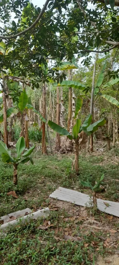 imagem 1 - Terreno - Padrão imagem 1 - Terreno - Padrão