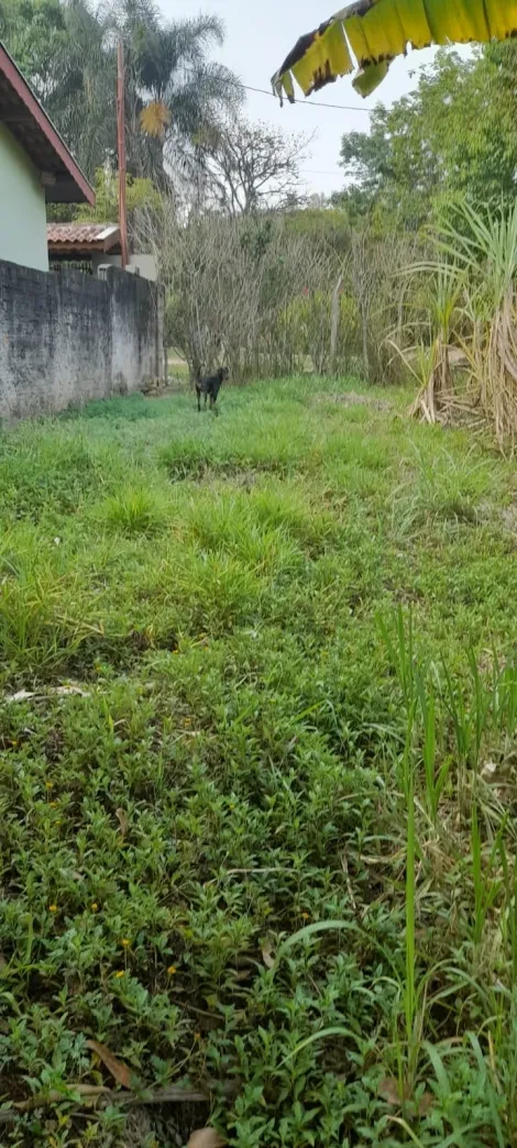 imagem 2 - Terreno - Padrão imagem 2 - Terreno - Padrão