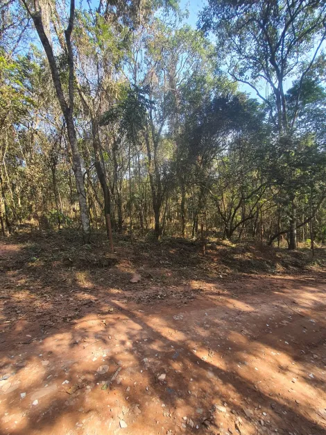 imagem 1 - Terreno de 1.582m² à venda no Campo do Realengo - Jarinu/SP imagem 1 - Terreno de 1.582m² à venda no Campo do Realengo - Jarinu/SP