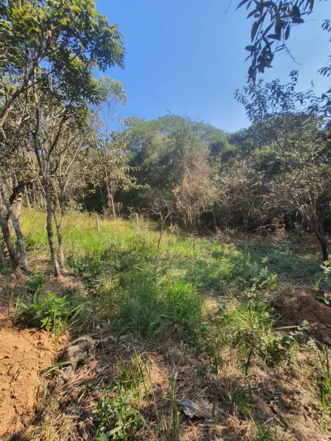 imagem 3 - Terreno de 1.582m² à venda no Campo do Realengo - Jarinu/SP imagem 3 - Terreno de 1.582m² à venda no Campo do Realengo - Jarinu/SP
