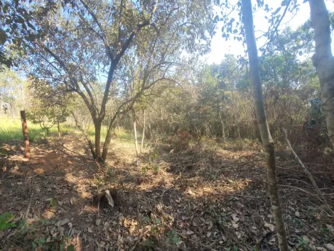 imagem 4 - Terreno de 1.582m² à venda no Campo do Realengo - Jarinu/SP imagem 4 - Terreno de 1.582m² à venda no Campo do Realengo - Jarinu/SP