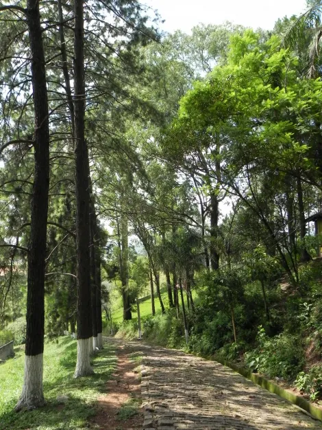imagem 2 - CHÁCARA PARA VENDA - BAIRRO CHÁCARA TERRA NOVA - JUNDIAÍ/SP imagem 2 - CHÁCARA PARA VENDA - BAIRRO CHÁCARA TERRA NOVA - JUNDIAÍ/SP