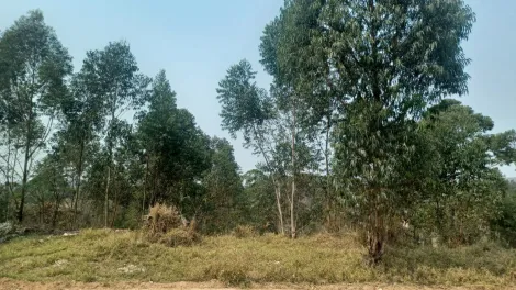 imagem 2 - TERRENO À VENDA 5.025M² - BAIRRO CERRO AZUL - CAMPO LIMPO PAULISTA/SP imagem 2 - TERRENO À VENDA 5.025M² - BAIRRO CERRO AZUL - CAMPO LIMPO PAULISTA/SP