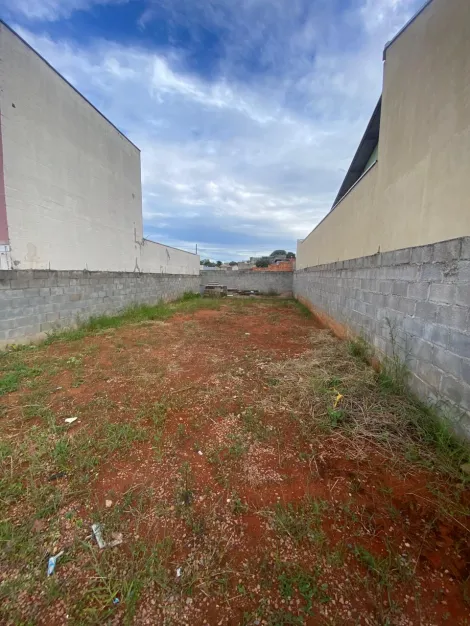 imagem 1 - Terreno - Padrão imagem 1 - Terreno - Padrão