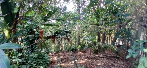 imagem 5 - TERRENO COM 801M²,À VENDA NO JARDIM CARPAS EM JUNDIAI / SP. imagem 5 - TERRENO COM 801M²,À VENDA NO JARDIM CARPAS EM JUNDIAI / SP.