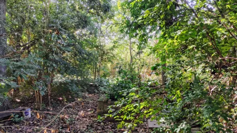 imagem 2 - TERRENO COMERCIAL 1.600m² À VENDA EM AVENIDA PRINCIPAL - ITATIBA/SP imagem 2 - TERRENO COMERCIAL 1.600m² À VENDA EM AVENIDA PRINCIPAL - ITATIBA/SP