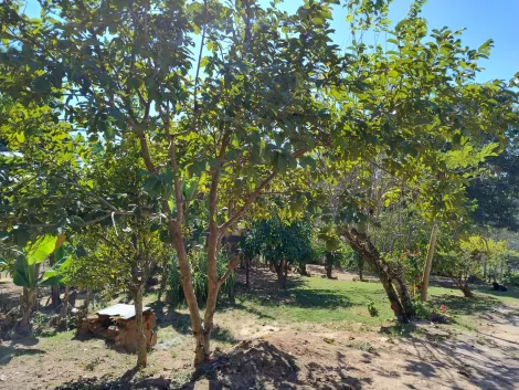 imagem 5 - CHÁCARA COM 3 QUARTOS À VENDA NA ESTÂNCIA SÃO PAULO - CAMPO LIMPO PAULISTA/SP imagem 5 - CHÁCARA COM 3 QUARTOS À VENDA NA ESTÂNCIA SÃO PAULO - CAMPO LIMPO PAULISTA/SP