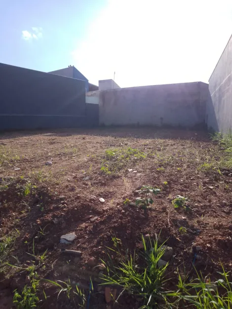 imagem 3 - TERRENO À VENDA BAIRRO PRIMAVERA EM JARINU / SP imagem 3 - TERRENO À VENDA BAIRRO PRIMAVERA EM JARINU / SP