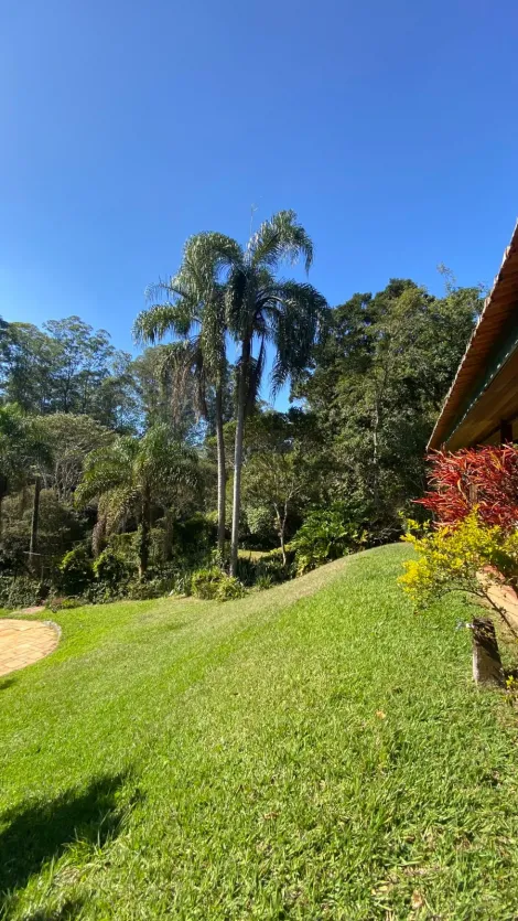 imagem 5 - Rural - Chácara imagem 5 - Rural - Chácara