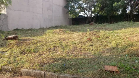 imagem 2 - LOTE DE 250MT À VENDA EM ITUPEVA / SP imagem 2 - LOTE DE 250MT À VENDA EM ITUPEVA / SP