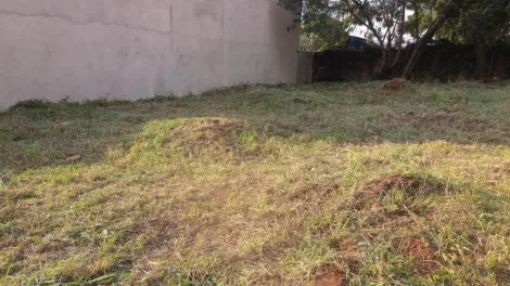 imagem 4 - LOTE DE 250MT À VENDA EM ITUPEVA / SP imagem 4 - LOTE DE 250MT À VENDA EM ITUPEVA / SP