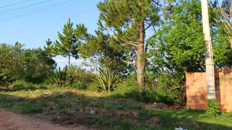 imagem 5 - TERRENO À VENDA ESTÂNCIA PARAÍSO - JARINU / SP imagem 5 - TERRENO À VENDA ESTÂNCIA PARAÍSO - JARINU / SP