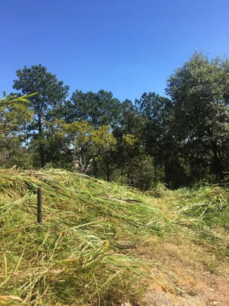 imagem 1 - TERRENO A VENDA BAIRRO VILA SOUZA - CIDADE DE VARZEA PAULISTA-SP. imagem 1 - TERRENO A VENDA BAIRRO VILA SOUZA - CIDADE DE VARZEA PAULISTA-SP.
