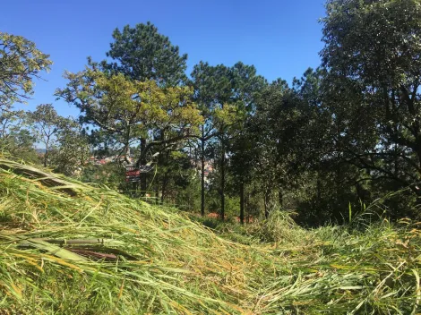 imagem 4 - TERRENO A VENDA BAIRRO VILA SOUZA - CIDADE DE VARZEA PAULISTA-SP. imagem 4 - TERRENO A VENDA BAIRRO VILA SOUZA - CIDADE DE VARZEA PAULISTA-SP.