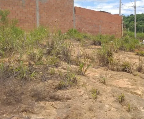 imagem 2 - Terreno - Padrão imagem 2 - Terreno - Padrão