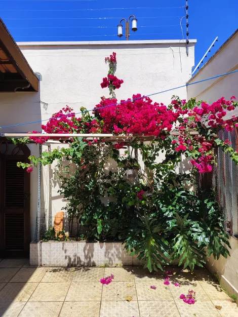 imagem 3 - CASA TÉRREA À VENDA, COM EDÍCULA E ESPAÇO GOURMET, NO BAIRRO JD MARIA LUIZA - JUNDIAÍ / SP imagem 3 - CASA TÉRREA À VENDA, COM EDÍCULA E ESPAÇO GOURMET, NO BAIRRO JD MARIA LUIZA - JUNDIAÍ / SP