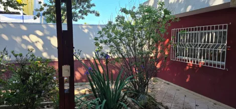 imagem 5 - CASA TÉRREA PARA VENDA NA VILA ALVORADA - JUNDIAÍ / SP imagem 5 - CASA TÉRREA PARA VENDA NA VILA ALVORADA - JUNDIAÍ / SP