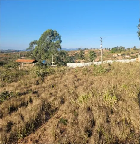 imagem 2 - TERRENO A VENDA COM 5.000M² - ESTÂNCIA MORRO ALTO - JARINU/SP imagem 2 - TERRENO A VENDA COM 5.000M² - ESTÂNCIA MORRO ALTO - JARINU/SP